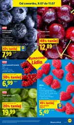 Gazetka promocyjna Lidl - Gazetka ważna od 9.07 do 11.07 - Gazetka - ważna od 11.07 do 11.07.2026 - strona 43 - produkty: Por, Porzeczki czerwone, Maliny, Gres