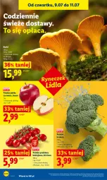 Gazetka promocyjna Lidl - Gazetka ważna od 9.07 do 11.07 - Gazetka - ważna od 11.07 do 11.07.2026 - strona 44 - produkty: Brokuły, Pomidory, Jabłka