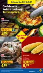 Gazetka promocyjna Lidl - Gazetka ważna od 9.07 do 11.07 - Gazetka - ważna od 11.07 do 11.07.2026 - strona 49 - produkty: Piec, Grill, Kukurydza