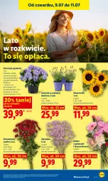 Gazetka promocyjna Lidl - Gazetka ważna od 9.07 do 11.07 - Gazetka - ważna od 11.07 do 11.07.2026 - strona 85 - produkty: Sok, Gerber, Chryzantema, Cynk, Bukiet