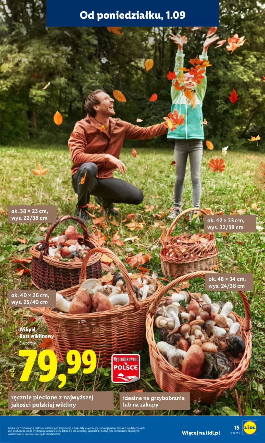Gazetka promocyjna Lidl - GAZETKA - ważna 01.09 do 06.09.2025 - strona 17 - produkty: Kosz