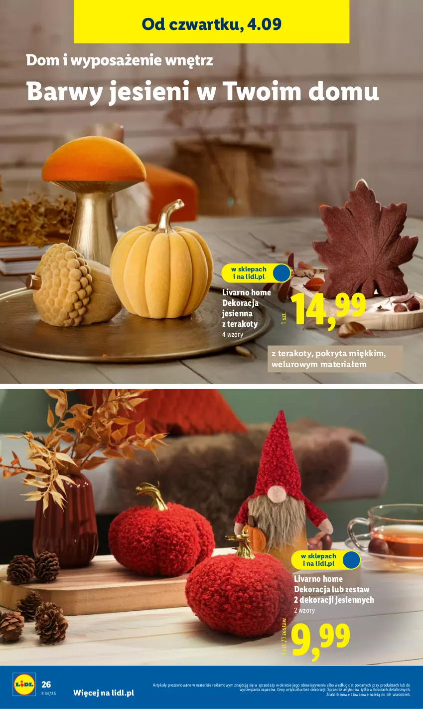 Gazetka promocyjna Lidl - GAZETKA - ważna 01.09 do 06.09.2025 - strona 28 - produkty: Ivar, Tera