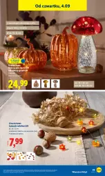Gazetka promocyjna Lidl - GAZETKA - Gazetka - ważna od 06.09 do 06.09.2025 - strona 31 - produkty: Sok, Woreczek, Ivar