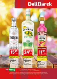 Gazetka promocyjna Delikatesy Centrum - Delibarek DC24-DC25 - Gazetka - ważna od 24.06 do 24.06.2026 - strona 1 - produkty: Arbuz