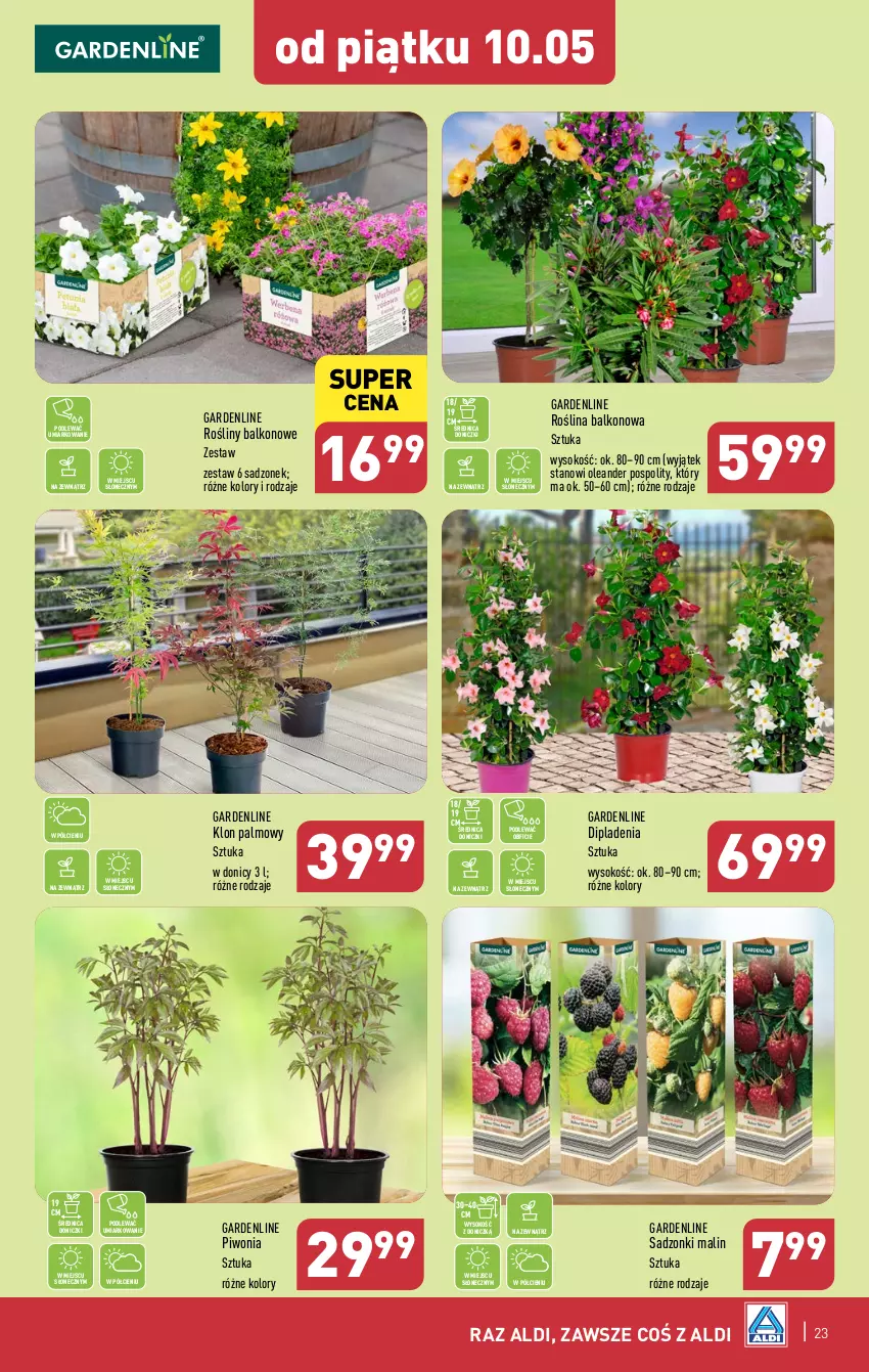 Gazetka promocyjna Aldi - Pełna oferta - ważna 06.05 do 11.05.2024 - strona 23 - produkty: Piwo, Sok