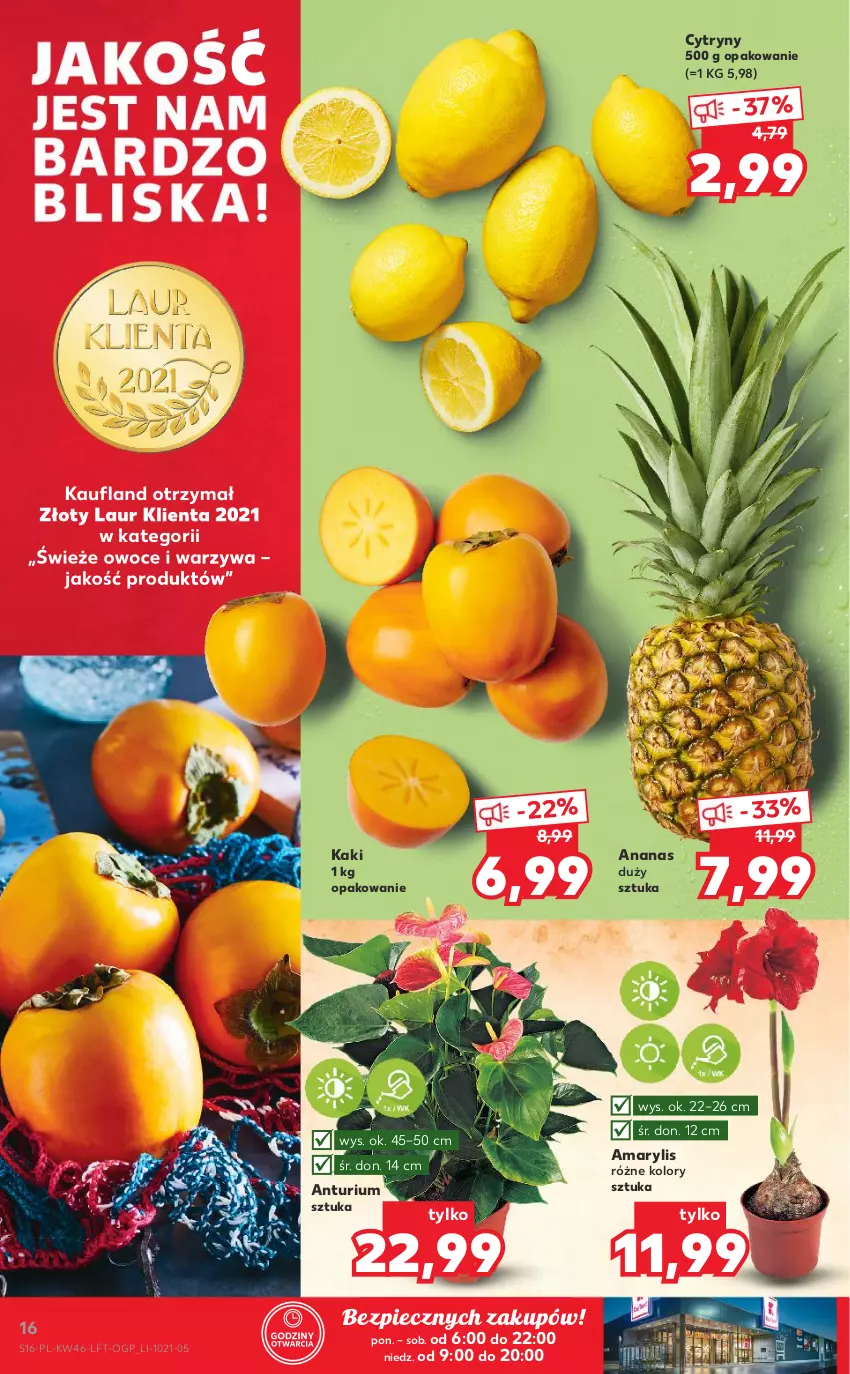 Gazetka promocyjna Kaufland - OFERTA TYGODNIA - ważna 18.11 do 24.11.2021 - strona 16 - produkty: Amarylis, Ananas, Cytryny, Kaki, Laur, Owoce, Piec, Warzywa