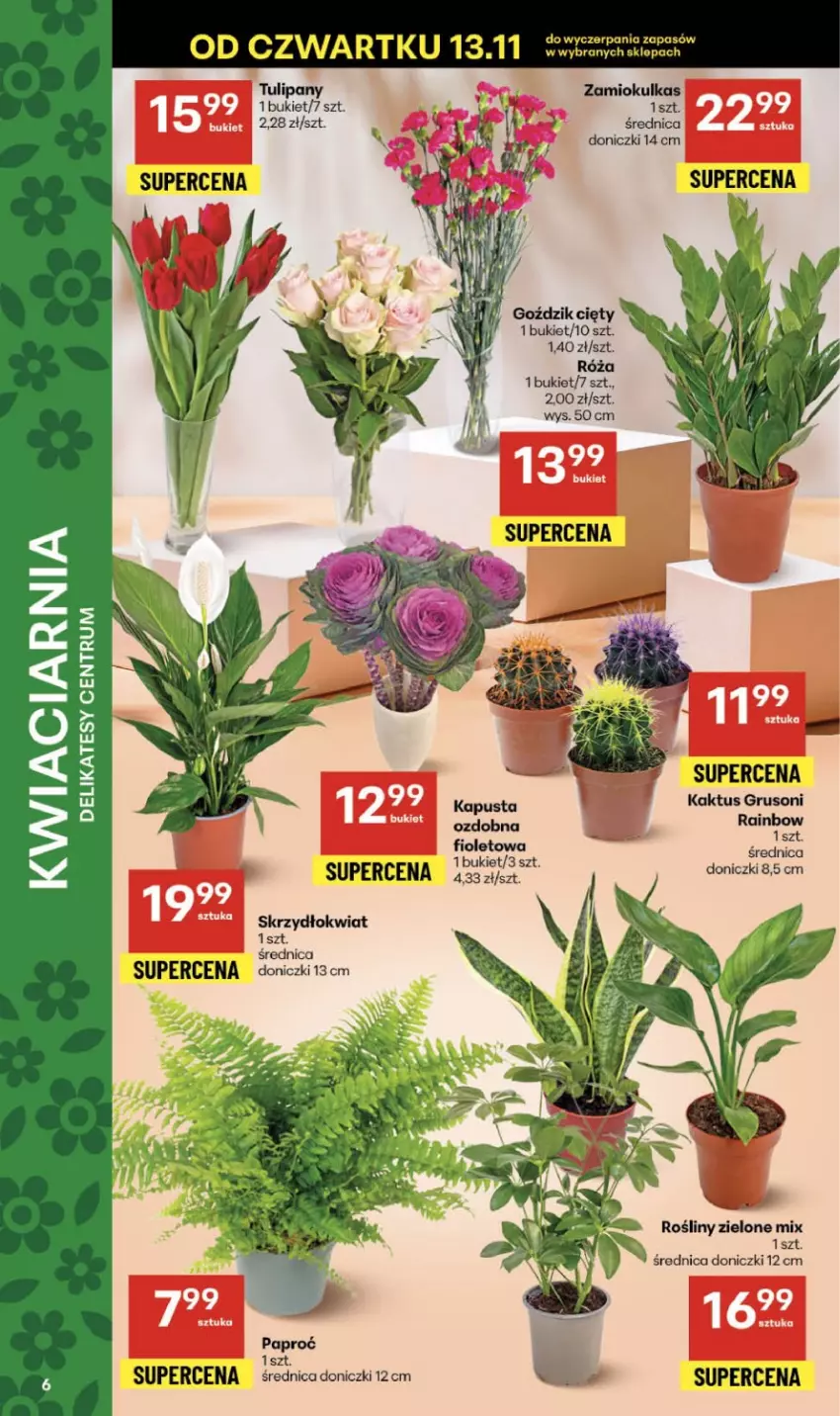 Gazetka promocyjna Delikatesy Centrum - Franczyza DC46 Czwartek - ważna 13.11 do 19.11.2025 - strona 6 - produkty: Bukiet, Kaktus, Róża, Rum, Tulipan