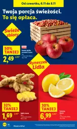 Gazetka promocyjna Lidl - GAZETKA - Gazetka - ważna od 08.11 do 08.11.2025 - strona 22 - produkty: Por, Cytryny, Jabłka, Imbir