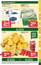 Gazetka promocyjna Stokrotka - Market - Gazetka - ważna od 20.03 do 20.03.2024 - strona 5 - produkty: Warzywa, Por, Gra, Twaróg, Cytryny, Smalec, Farm Milk, Twaróg półtłusty, Owoce, Pomidory, Mięso, Fa