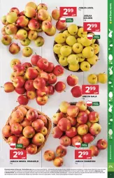 Gazetka promocyjna Stokrotka - Market - Gazetka - ważna od 20.03 do 20.03.2024 - strona 9 - produkty: Jonagold, Warzywa, Owoce, Gala, Mięso, Ligol, Jabłka