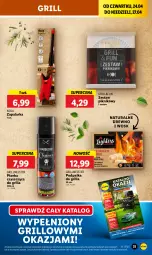 Gazetka promocyjna Lidl - GAZETKA - Gazetka - ważna od 27.04 do 27.04.2025 - strona 33 - produkty: Zapalarka, Grill