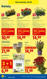 Gazetka promocyjna Lidl - Gazetka ważna od 23.04 do 26.04 - Gazetka - ważna od 26.04 do 26.04.2026 - strona 86 - produkty: Sos, Sok, Gra, Bukiet, Aksam, Osłonka