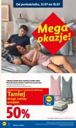 Gazetka promocyjna Lidl - Katalog ważny od 13.07 - Gazetka - ważna od 18.07 do 18.07.2026 - strona 2 - produkty: Gra, Ivar, Grafika