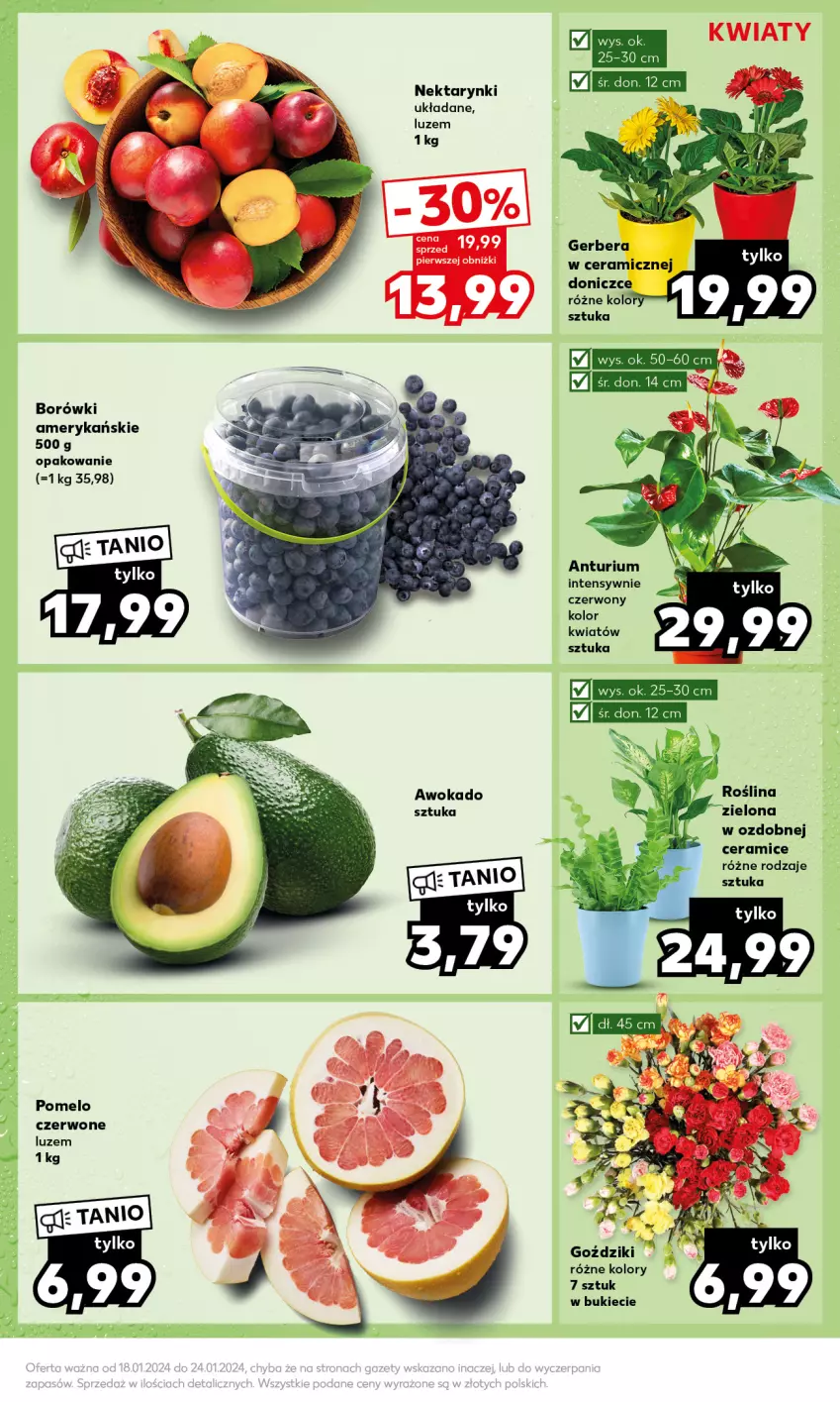 Gazetka promocyjna Kaufland - Mocny Start - ważna 22.01 do 24.01.2024 - strona 13 - produkty: Gerber, Pomelo