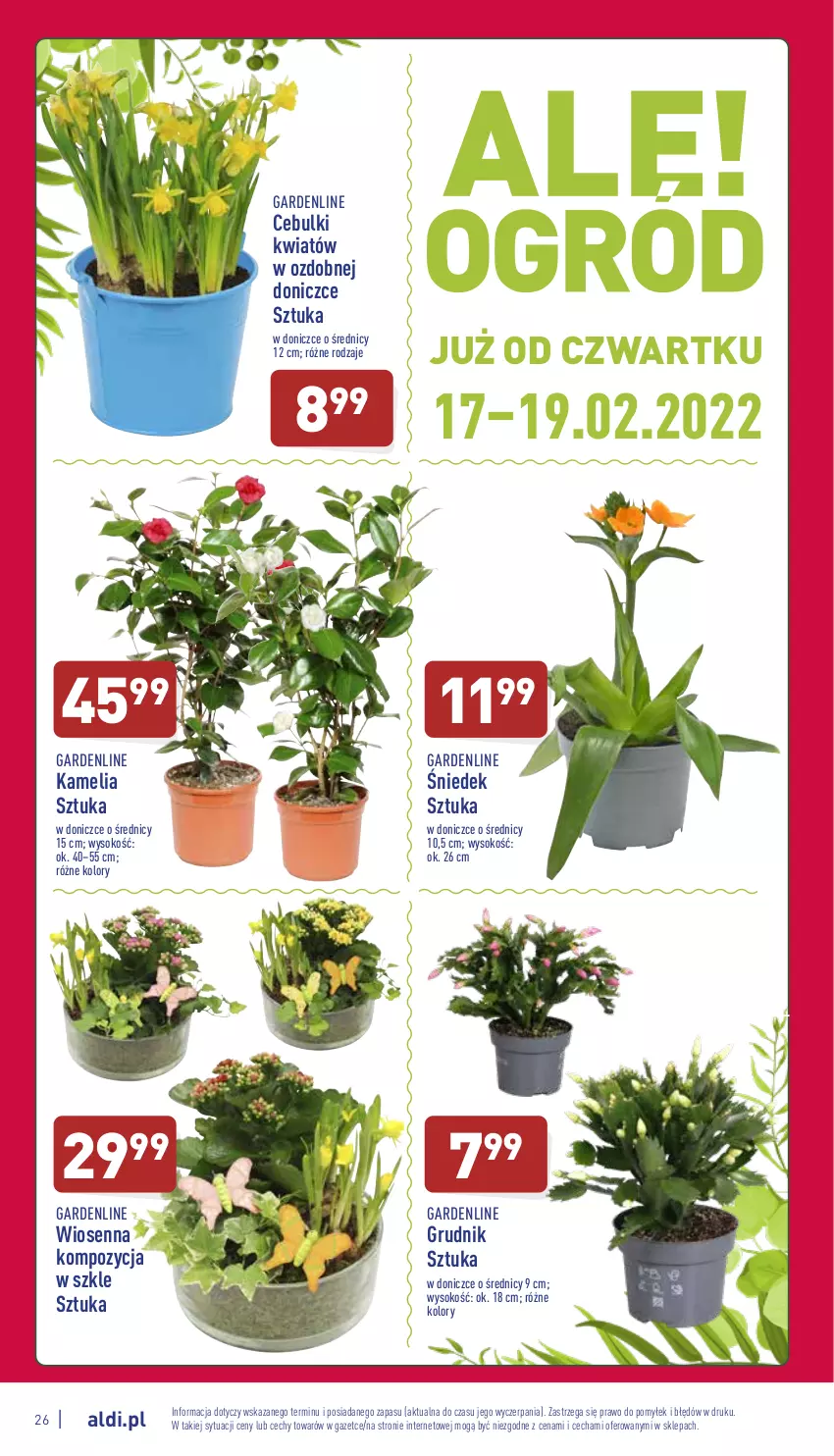 Gazetka promocyjna Aldi - Pełny katalog - ważna 14.02 do 19.02.2022 - strona 26 - produkty: Sok