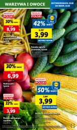 Gazetka promocyjna Lidl - GAZETKA - Gazetka - ważna od 02.09 do 02.09.2023 - strona 25 - produkty: Warzywa, Gra, Warzywa i owoce, Sałat, Fasola, Fasola szparagowa, Owoce, Grunt, Olej, Nektar, Kukurydza, Fa