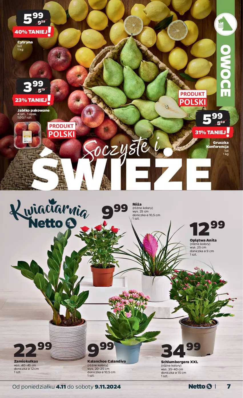 Gazetka promocyjna Netto - Artykuły spożywcze - ważna 04.11 do 09.11.2024 - strona 7 - produkty: Kalanchoe, Owoce, Róża