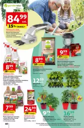 Gazetka promocyjna Auchan - Gazetka Koszyk Oszczędności Auchan Hipermarket Auchan - Gazetka - ważna od 22.05 do 22.05.2024 - strona 60 - produkty: Warzywa, Noż, Gra, Papryka, Nożyce, Warka, Nawóz, Akumulator, Fa