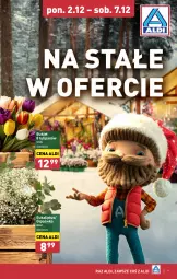 Gazetka promocyjna Aldi - Farmer ALDIK poleca świeże owoce i warzywa - Gazetka - ważna od 07.12 do 07.12.2024 - strona 9 - produkty: Tulipan, Bukiet