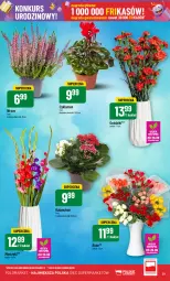 Gazetka promocyjna PoloMarket - Gazetka pomocyjna - Gazetka - ważna od 01.10 do 01.10.2024 - strona 51 - produkty: Cyklamen, Kalanchoe, Bukiet, Miecz, LG