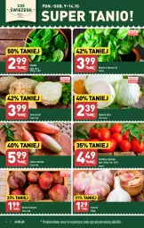 Gazetka promocyjna Aldi - Pełna oferta - Gazetka - ważna od 14.10 do 14.10.2023 - strona 4 - produkty: Cebula, Seler korzeń, Cebula szalotka, Czosnek, Szal, Buraki, Bazyl, Bazylia, Pomidory, Szpinak