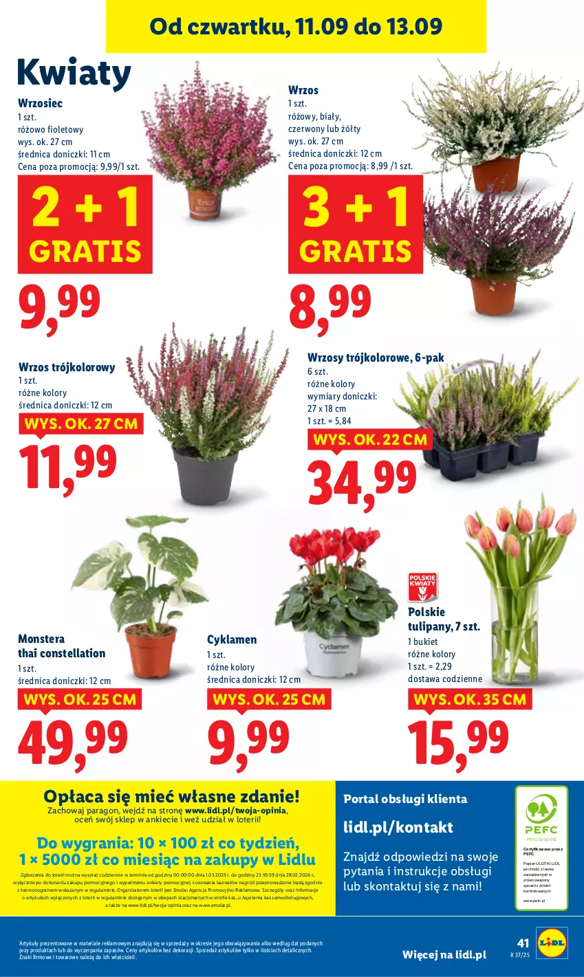 Gazetka promocyjna Lidl - GAZETKA - ważna 11.09 do 13.09.2025 - strona 47 - produkty: Bukiet, Cyklamen, Gra, Laur, Mola, Papier, Por, Portal, Tera, Tulipan