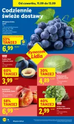 Gazetka promocyjna Lidl - GAZETKA - Gazetka - ważna od 13.09 do 13.09.2025 - strona 20 - produkty: Sałata masłowa, Sałat, Winogrona, Brzoskwinie, Wino, Masło