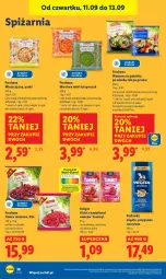 Gazetka promocyjna Lidl - GAZETKA - Gazetka - ważna od 13.09 do 13.09.2025 - strona 44 - produkty: Warzywa, Truskawki, Kisiel, Kawa, Wazon, Maliny, Podravka, Owoce, Vegeta, Groszek