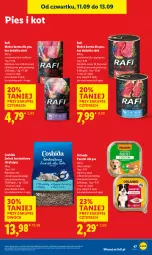 Gazetka promocyjna Lidl - GAZETKA - Gazetka - ważna od 13.09 do 13.09.2025 - strona 53 - produkty: Mokra karma, Pasztet, Królik