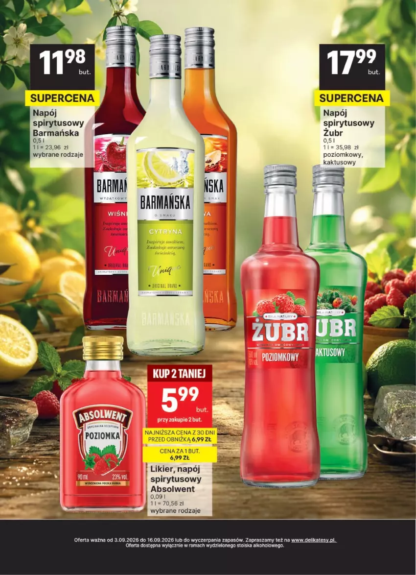 Gazetka promocyjna Delikatesy Centrum - Delibarek DC36-DC37 - ważna 03.09 do 16.09.2026 - strona 13 - produkty: Kaktus, Likier, Napój, Rama
