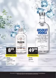 Gazetka promocyjna Delikatesy Centrum - Delibarek DC36-DC37 - Gazetka - ważna od 16.09 do 16.09.2026 - strona 9 - produkty: Por, Rama, Absolut, Wódka