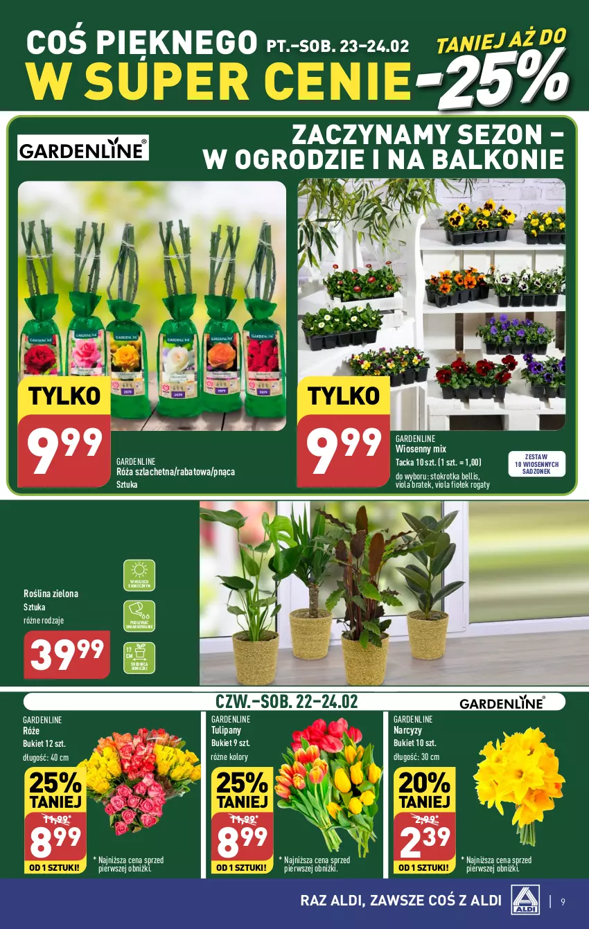 Gazetka promocyjna Aldi - COŚ na weekend - ważna 22.02 do 24.02.2024 - strona 9 - produkty: Bell, Bukiet, Narcyz, Róża, Tulipan