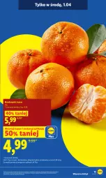 Gazetka promocyjna Lidl - Gazetka ważna od 30.03 do 1.04 - Gazetka - ważna od 01.04 do 01.04.2026 - strona 13 - produkty: Mandarynki, Gra, Olej