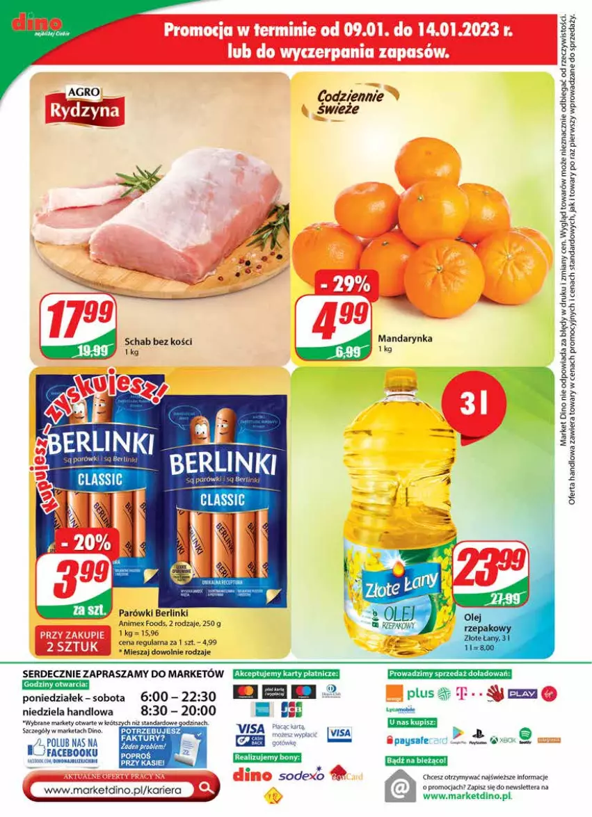 Gazetka promocyjna Dino - Gazetka - ważna 11.01 do 17.01.2023 - strona 24 - produkty: Berlinki, Fa, Parówki, Schab bez kości, Ser, Tera