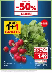 Gazetka promocyjna Kaufland - Kaufland - Gazetka - ważna od 02.10 do 02.10.2024 - strona 11 - produkty: Rzodkiewka