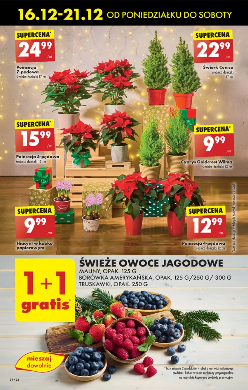 Gazetka promocyjna Biedronka - Od poniedzialku - ważna 16.12 do 21.12.2024 - strona 24 - produkty: Borówka, Borówka amerykańska, Maliny, Owoce, Poinsecja, Por, Truskawki