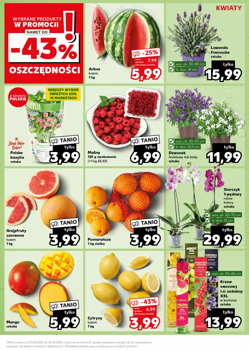 Gazetka promocyjna Kaufland - Kaufland - ważna 25.03 do 26.03.2024 - strona 17 - produkty: Bazyl, Bazylia, Cytryny, Dzwonek, Grejpfrut, Pomarańcze, Siatka, Storczyk