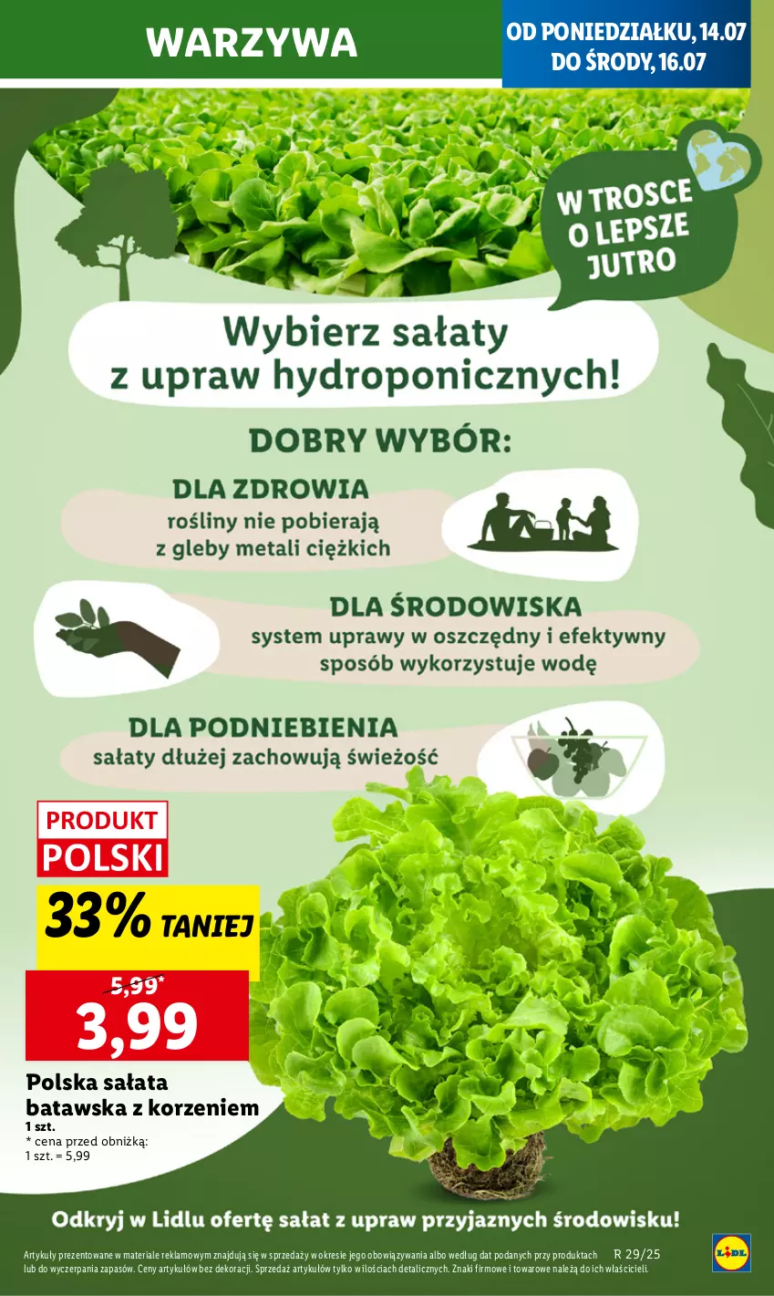 Gazetka promocyjna Lidl - GAZETKA - ważna 14.07 do 16.07.2025 - strona 9 - produkty: Sałat, Warzywa