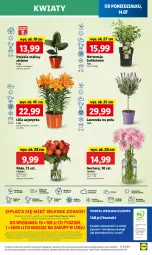Gazetka promocyjna Lidl - GAZETKA - Gazetka - ważna od 16.07 do 16.07.2025 - strona 59 - produkty: Sok, Por, Gra, Gerber, Cień, O nas, Portal, Laur, Mola, Bukiet