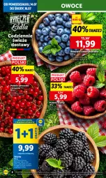 Gazetka promocyjna Lidl - GAZETKA - Gazetka - ważna od 16.07 do 16.07.2025 - strona 8 - produkty: Por, Gra, Jeżyny, Porzeczki czerwone, Maliny, Owoce