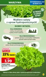 Gazetka promocyjna Lidl - GAZETKA - Gazetka - ważna od 16.07 do 16.07.2025 - strona 9 - produkty: Warzywa, Sałat