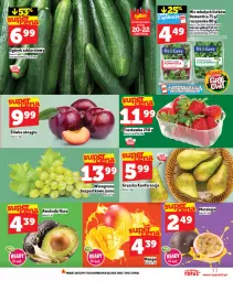 Gazetka promocyjna Topaz - Gazetka - Gazetka - ważna od 22.04 do 22.04.2026 - strona 11 - produkty: Top, Roszponka, Mango