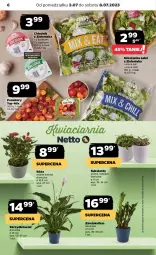 Gazetka promocyjna Netto - Artykuły spożywcze - Gazetka - ważna od 08.07 do 08.07.2023 - strona 6 - produkty: Top, Róża, Sałat, Mieszanka sałat, Pomidory, Sukulent