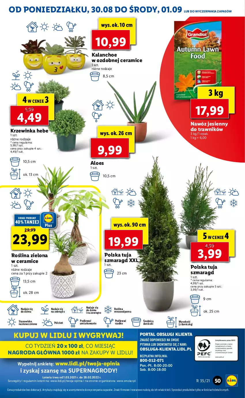 Gazetka promocyjna Lidl - GAZETKA - ważna 30.08 do 01.09.2021 - strona 49 - produkty: Cień, Gry, Inka, Kalanchoe, Mola, Nawóz, O nas, Por, Sok