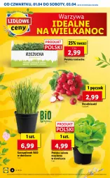 Gazetka promocyjna Lidl - GAZETKA - Gazetka - ważna od 03.04 do 03.04.2021 - strona 8 - produkty: Warzywa, Sałata masłowa, Rzeżucha, Sałat, Masło