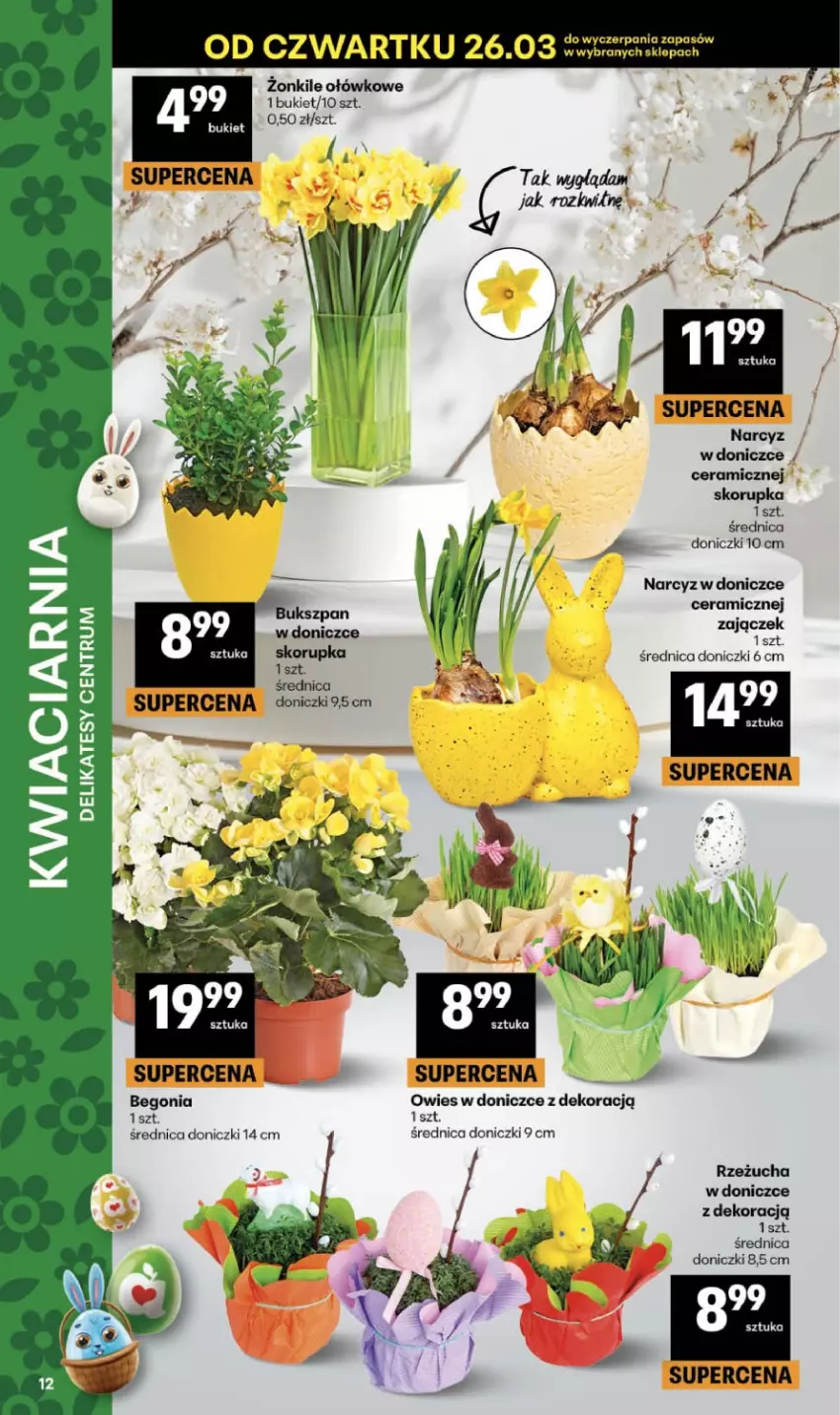 Gazetka promocyjna Delikatesy Centrum - Franczyza DC13 Czwartek - ważna 26.03 do 01.04.2026 - strona 12 - produkty: Bukiet, Fa, Narcyz, Rzeżucha