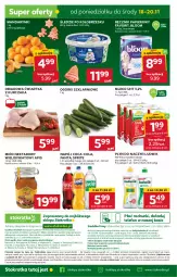 Gazetka promocyjna Stokrotka - Market Opole/Radom - Gazetka - ważna od 20.11 do 20.11.2024 - strona 20 - produkty: Kurczak, Mandarynki, Ludwik, JBL, Telefon, Papier, Coca-Cola, Dres, Ręcznik, Miód, Fanta, Sprite, Napój, Nektar, Mleko, HP, Fa