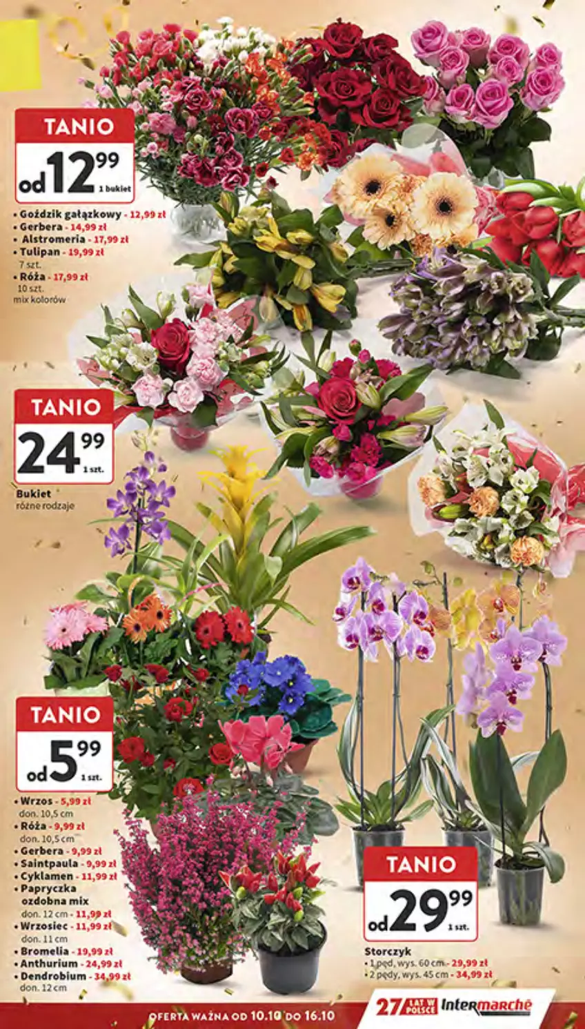 Gazetka promocyjna Intermarche - Gazetka Intermarche - ważna 10.10 do 16.10.2024 - strona 9 - produkty: Bromelia, Bukiet, Cyklamen, Gerber, Róża, Tulipan