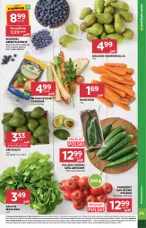 Gazetka promocyjna Stokrotka - Market - Gazetka - ważna od 21.01 do 21.01.2026 - strona 7 - produkty: Warzywa, Sałata masłowa, Sałat, Optima, Gruszki, Owoce, Masło, Pomidory, Mięso