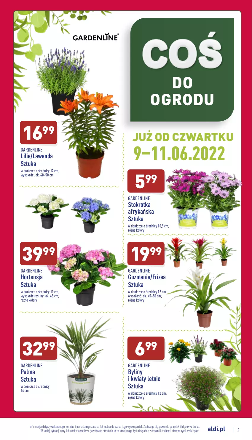 Gazetka promocyjna Aldi - Zaplanuj zakupy wcześniej - ważna 08.06 do 11.06.2022 - strona 2 - produkty: Palma, Sok